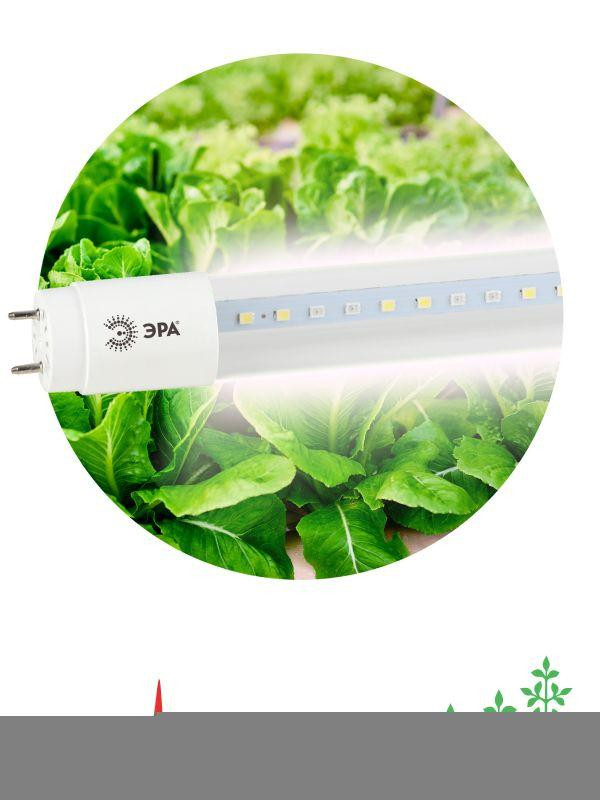 Лампа светодиодная FITO-9W-Ra90-Т8-G13-NL 9Вт T8 линейная 46LED 2835 IP20 35000ч для растений полнос