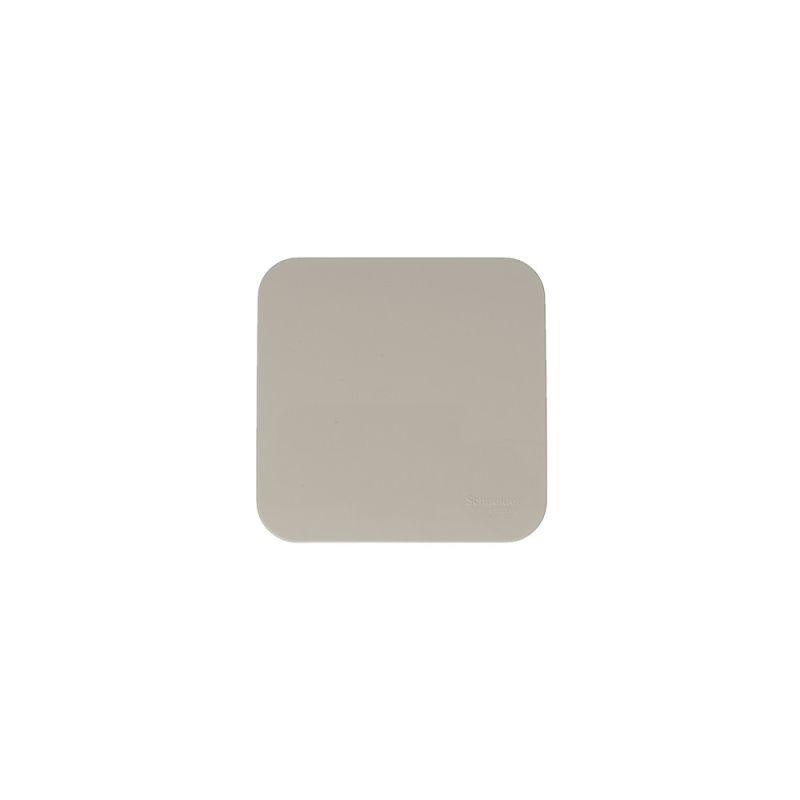 Выключатель 1-кл. ОП Blanca 10А IP20 (сх. 1) 250В с изолир. пластиной беж. SE BLNVA101017